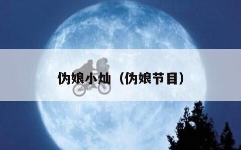 伪娘小灿（伪娘节目）