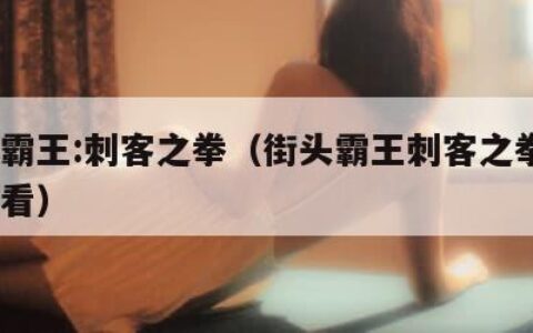 街头霸王:刺客之拳（街头霸王刺客之拳2在线观看）