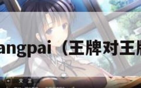 wangpai（王牌对王牌）