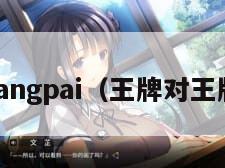 wangpai（王牌对王牌）
