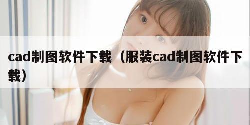cad制图软件下载（服装cad制图软件下载）