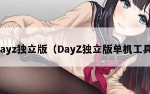 dayz独立版（DayZ独立版单机工具）