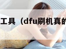 defy刷机工具（dfu刷机真的更干净吗）