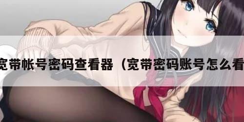 宽带帐号密码查看器（宽带密码账号怎么看）