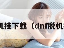 dnf脱机挂下载（dnf脱机挂原理）
