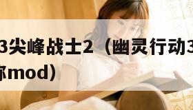 幽灵行动3尖峰战士2（幽灵行动3尖峰战士2 第3人称mod）