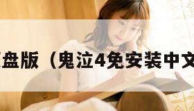 鬼泣4硬盘版（鬼泣4免安装中文硬盘版）