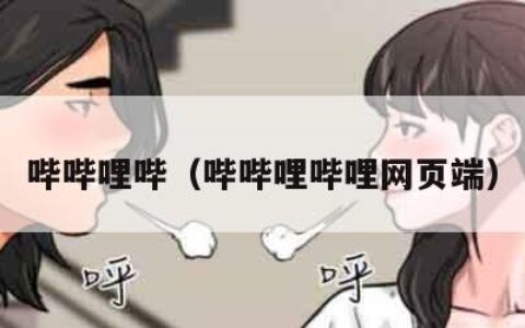 哔哔哩哔（哔哔哩哔哩网页端）