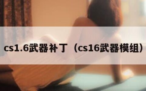 cs1.6武器补丁（cs16武器模组）