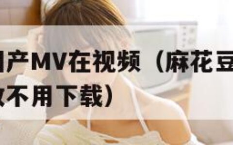 麻花豆剧国产MV在视频（麻花豆剧国产mv在视频播放不用下载）