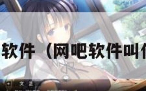 网吧软件（网吧软件叫什么）