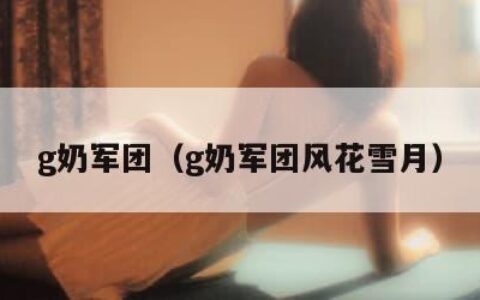 g奶军团（g奶军团风花雪月）