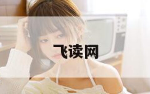 飞读网
