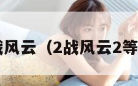 2战风云（2战风云2等级）