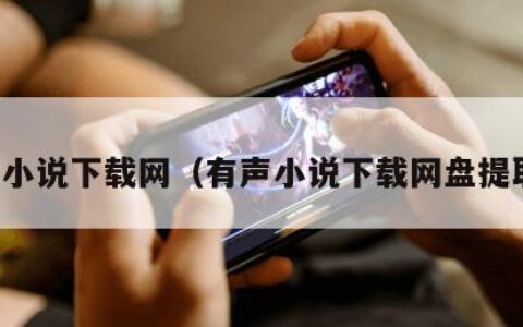 有声小说下载网（有声小说下载网盘提取码）