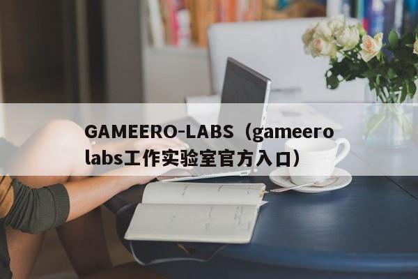 GAMEERO-LABS（gameerolabs工作实验室官方入口）