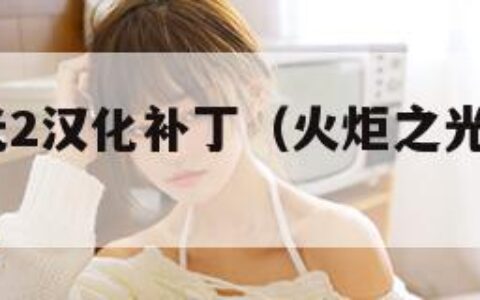 火炬之光2汉化补丁（火炬之光2epic汉化）