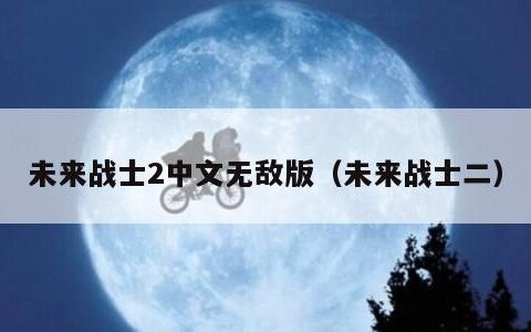 未来战士2中文无敌版（未来战士二）