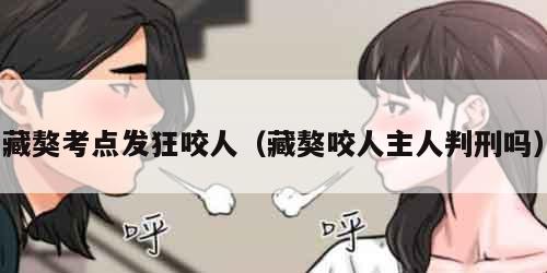 藏獒考点发狂咬人（藏獒咬人主人判刑吗）