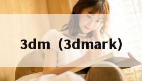 dm（3dmark）"