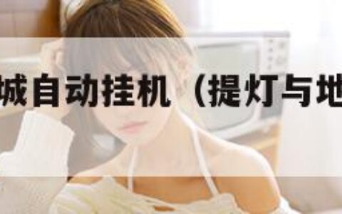 提灯与地下城自动挂机（提灯与地下城自动挂机视频）