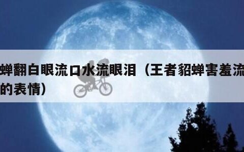 貂蝉翻白眼流口水流眼泪（王者貂蝉害羞流口水的表情）