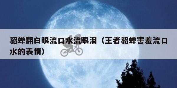 貂蝉翻白眼流口水流眼泪（王者貂蝉害羞流口水的表情）