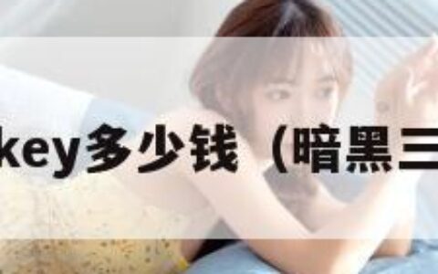 暗黑3cdkey多少钱（暗黑三多少钱?）