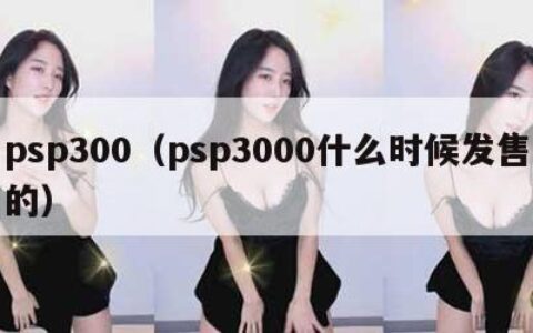 psp300（psp3000什么时候发售的）