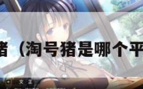 淘号猪（淘号猪是哪个平台的）