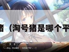 淘号猪（淘号猪是哪个平台的）