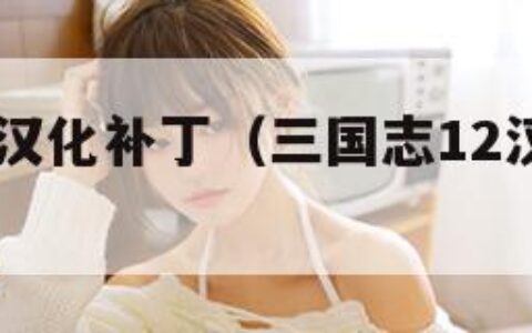 三国志12汉化补丁（三国志12汉化补丁下载）