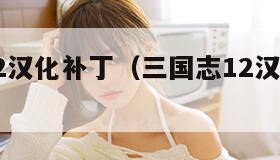 三国志12汉化补丁（三国志12汉化补丁下载）