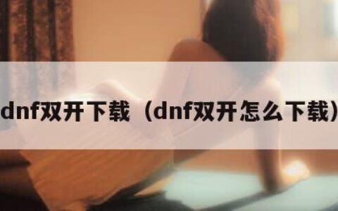 dnf双开下载（dnf双开怎么下载）