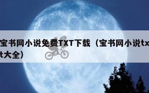 宝书网小说免费TXT下载（宝书网小说txt大全）