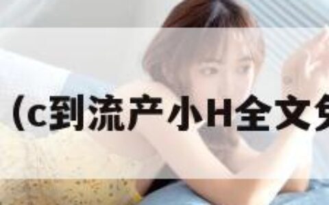 C到流产（c到流产小H全文免费阅读）
