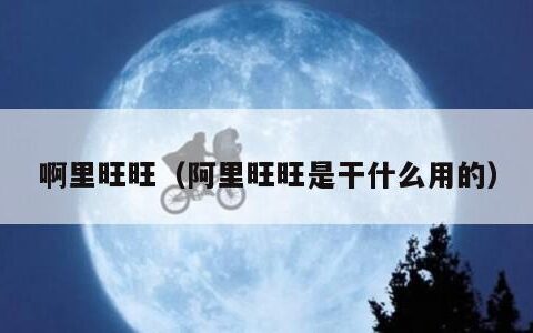 啊里旺旺（阿里旺旺是干什么用的）