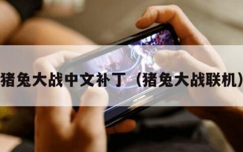 猪兔大战中文补丁（猪兔大战联机）