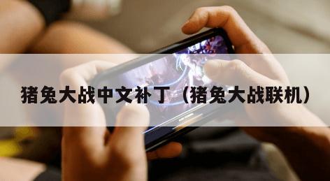 猪兔大战中文补丁（猪兔大战联机）