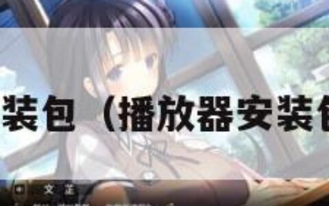 播放器安装包（播放器安装包在哪里）