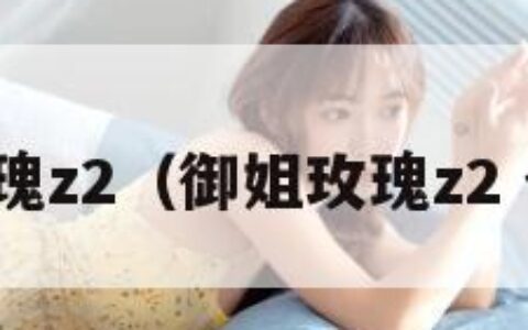 御姐玫瑰z2（御姐玫瑰z2 全饰品）