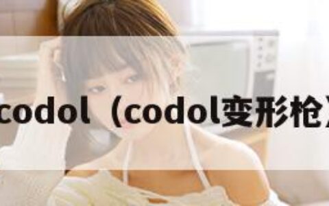 codol（codol变形枪）