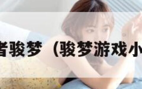 小小忍者骏梦（骏梦游戏小小忍者）