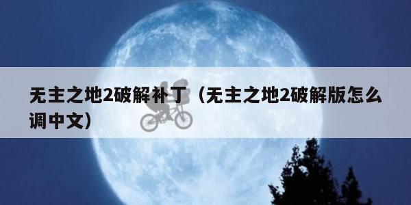 无主之地2破解补丁（无主之地2破解版怎么调中文）