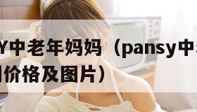 PANSY中老年妈妈（pansy中老年妈妈系列价格及图片）