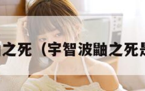 宇智波鼬之死（宇智波鼬之死是第几集）