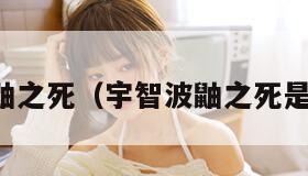 宇智波鼬之死（宇智波鼬之死是第几集）