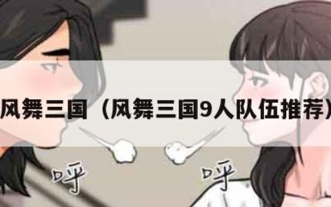 风舞三国（风舞三国9人队伍推荐）