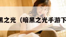暗黑之光（暗黑之光手游下载）