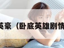 卧底英豪（卧底英雄剧情介绍）